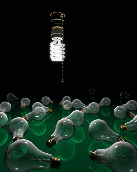 生物质发电排行榜丨山东浙江广东等上榜