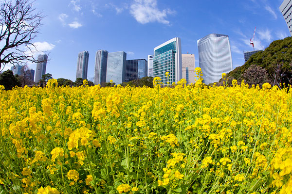 土壤污染防治法或年内出台一文告诉你为什么